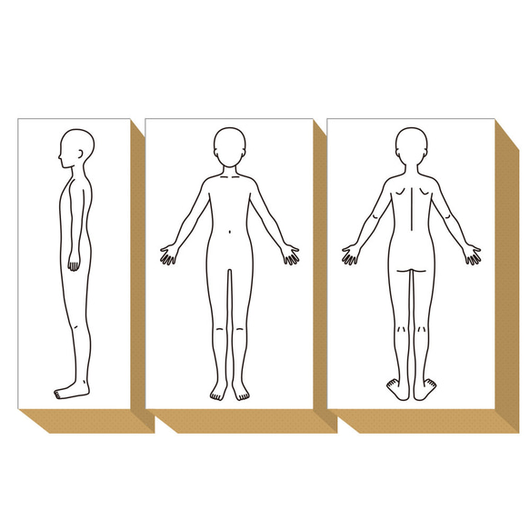 人体図 スタンプ 全身図 前 後 横 向き セット (#85) 健康管理 カルテ 勉強 マッサージ 人体スタンプ ゴム印 9枚目の画像