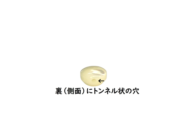 高瀬貝 貝ボタン 小さなコロコロした 可愛い裏穴ボタン シェルビーズ  10個 送料無料 SH-2584 5枚目の画像