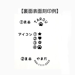  第9張的照片