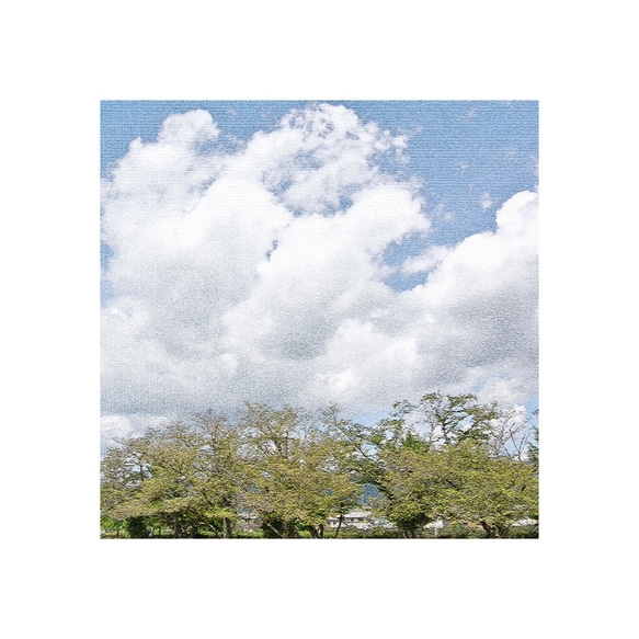 【送料無料】緑陰に隠れ何より積雲は（sq1810003） 2枚目の画像