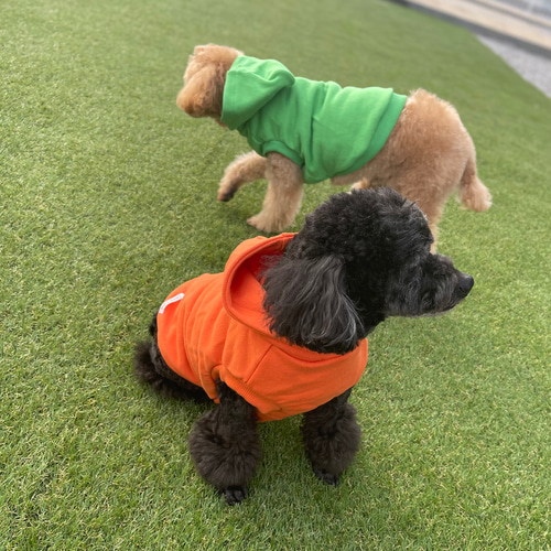 犬服 ワンピース(S) ꒡̈⃝Lily꒡̈⃝ハンドメイド 犬服 夏の人気通販 |