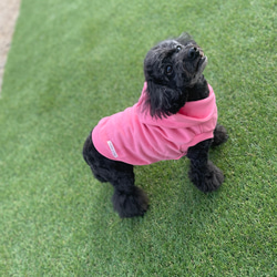 わんちゃんの綿100%パーカー 肌に優しい柔らかコットン100% 犬服 犬 ペット 8枚目の画像