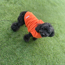 わんちゃんの綿100%パーカー 肌に優しい柔らかコットン100% 犬服 犬 ペット 9枚目の画像