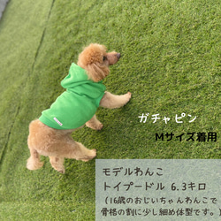 わんちゃんの綿100%パーカー 肌に優しい柔らかコットン100% 犬服 犬 ペット 4枚目の画像