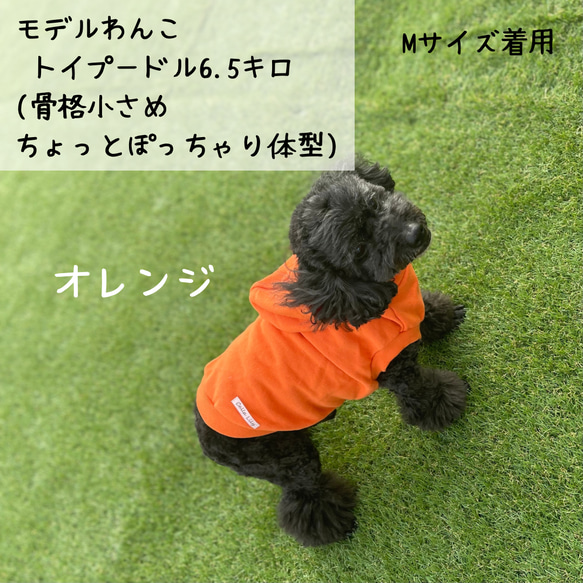 わんちゃんの綿100%パーカー 肌に優しい柔らかコットン100% 犬服 犬 ペット 5枚目の画像