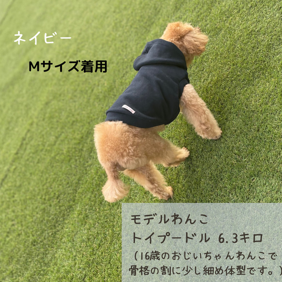 わんちゃんの綿100%パーカー 肌に優しい柔らかコットン100% 犬服 犬 ペット 6枚目の画像