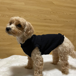 犬服‼︎ケーブルニットタートル　袖なし　全2色☆XS.S.M.DXS.DS.DM 3枚目の画像