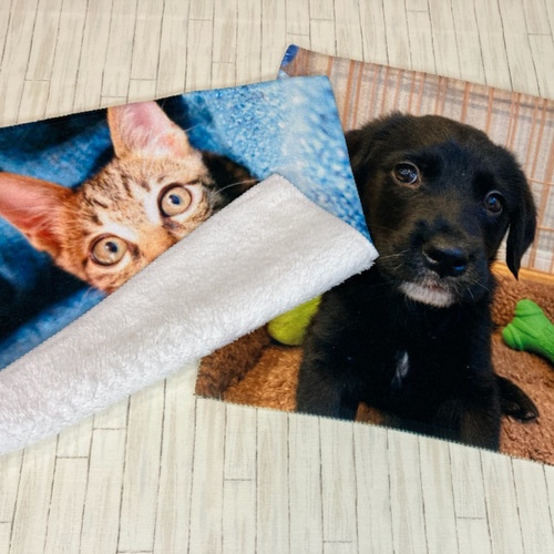 オーダーメイド】ハンドタオル うちの子グッズ ペット 犬猫など
