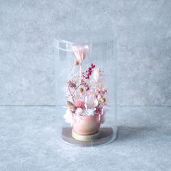 【春の福袋】桜の箱庭とアロマワックスシャーレ/サシェの3点セット 7枚目の画像