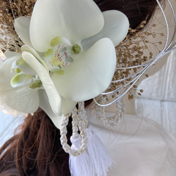 格調高い胡蝶蘭の気品あふれるヘッドドレス（ウエディング／成人式／髪飾り25点セット） 4枚目の画像