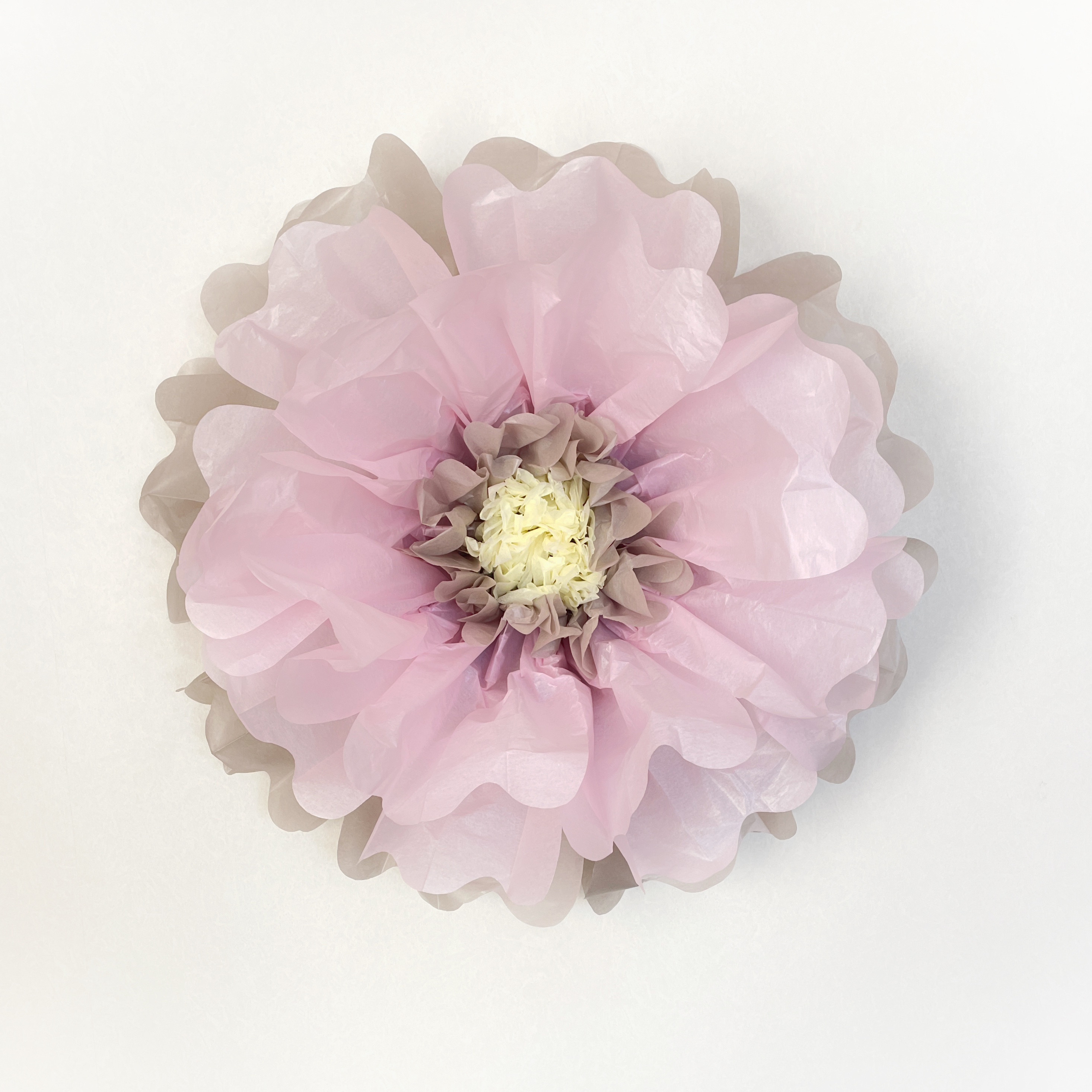 花ページ 花ページ