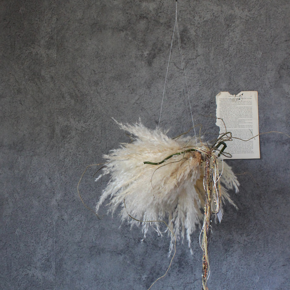 wreath [swan] №４　パンパスグラスと雲竜柳のフライングリース　　ドライフラワーリース　 5枚目の画像
