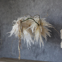 wreath [swan] №４　パンパスグラスと雲竜柳のフライングリース　　ドライフラワーリース　 7枚目の画像