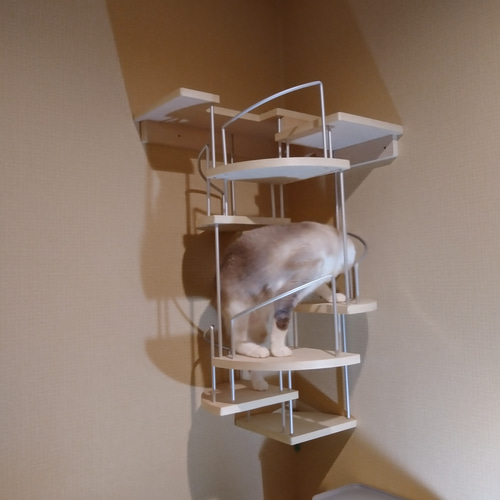 キャットウォーク、手すり付き螺旋階段、猫ちゃんも安心、軽量設計、3