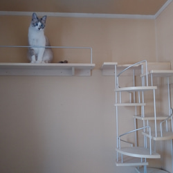 キャットウォーク、手すり付き螺旋階段、猫ちゃんも安心、軽量設計、3段廻り 6枚目の画像