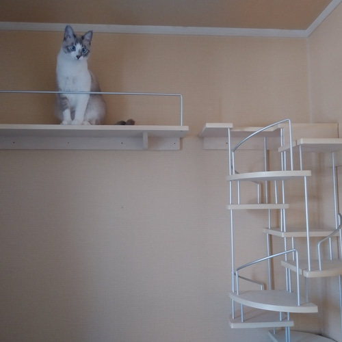 キャットウォーク、手すり付き螺旋階段、猫ちゃんも安心、軽量設計、3