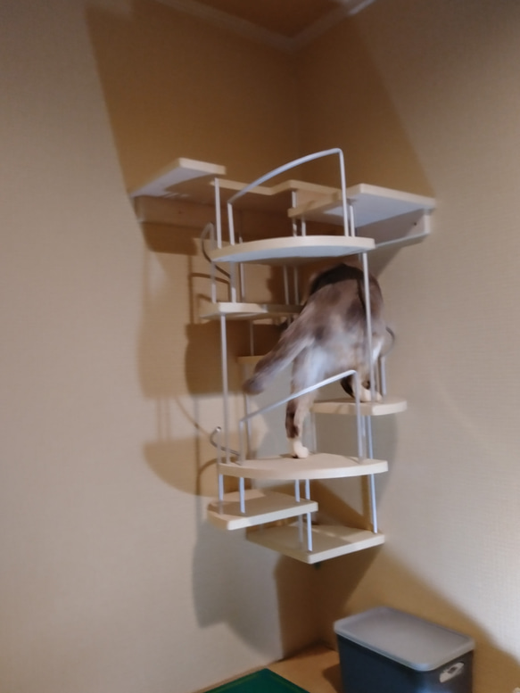 キャットウォーク、手すり付き螺旋階段、猫ちゃんも安心、軽量設計、3段廻り 12枚目の画像