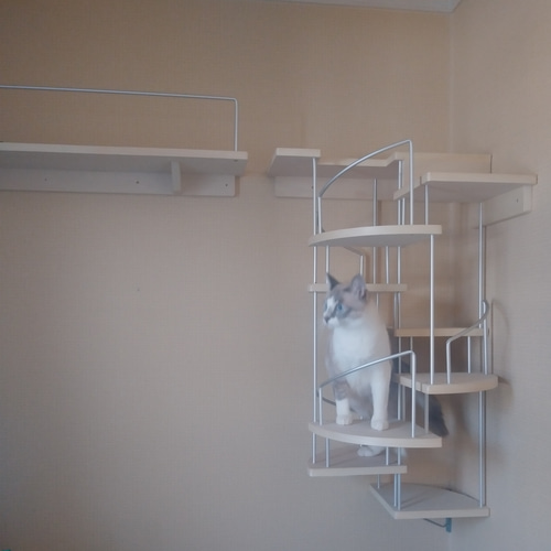 キャットウォーク、手すり付き螺旋階段、猫ちゃんも安心、軽量設計、3