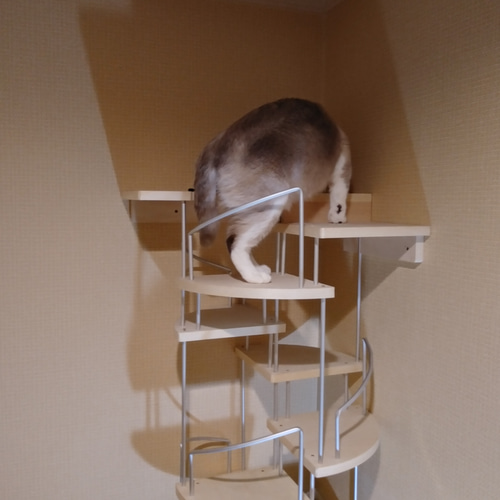 キャットウォーク、手すり付き螺旋階段、猫ちゃんも安心、軽量設計、3