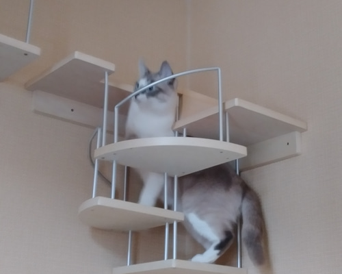 d1c3faf357087bdfd8ba9a99058577