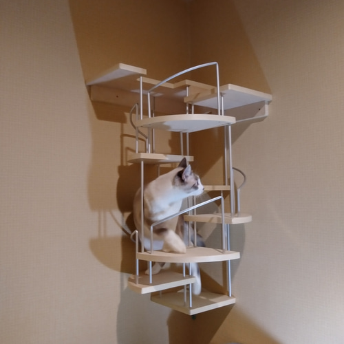 キャットウォーク、手すり付き階段、ねこちゃんもあんしん、軽量設計