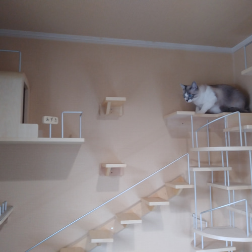 キャットウォーク、手すり付き階段、ねこちゃんもあんしん、軽量設計 キャットウォーク、手すり付き階段、ねこちゃんもあんしん、軽量設計