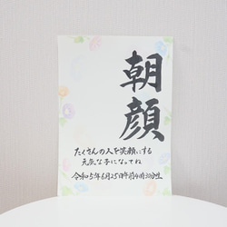 送料無料【朝顔タイプ】書道家ママが書く命名書　 4枚目の画像