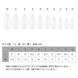 (現品あり)シンプルネイル ジェルネイル ネイルチップ グラデーションネイル 3枚目の画像