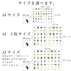 虫、昆虫知育ポスター 2枚目の画像