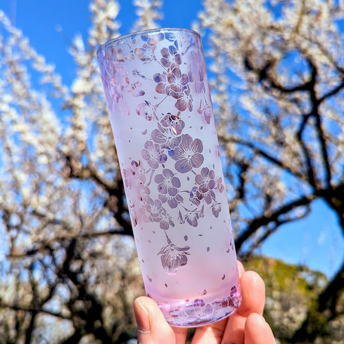 桜ひらひらロングタンブラー グラス ART空（アートクー） 通販