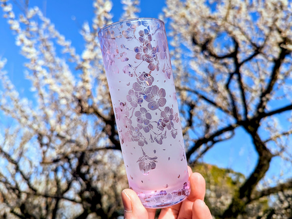 桜ひらひらロングタンブラー 2枚目の画像