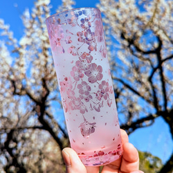 桜ひらひらロングタンブラー 1枚目の画像