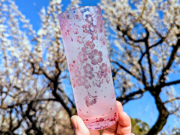 桜ひらひらロングタンブラー 1枚目の画像