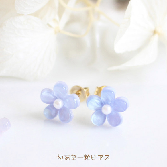 勿忘我單孔耳環【日本製】花/花/藍 第1張的照片