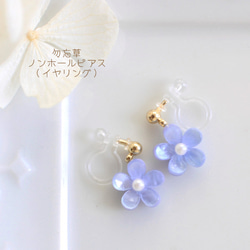 勿忘我樹脂無洞耳環(耳環)【日本製造】花/花/藍 第1張的照片