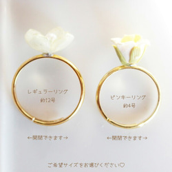 勿忘我常規/小指戒指 [日本製造] [均碼戒指] 花朵/花朵 第3張的照片