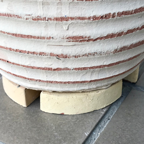 ⑬　オリーブの木souju　『マンザニロ』　6号　最高等級極上品‼️ ⑬ オリーブの木souju 『マンザニロ』 6号 最高等級極上品‼️ ⑬