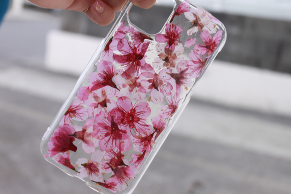 iPhoneケース　桜　クリアケース　全機種対応 スマホケース　アンドロイド　iPhone　さくら　春　スマホショルダー 6枚目の画像