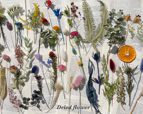 4163ebad73ebc416056f0ac2bb78df