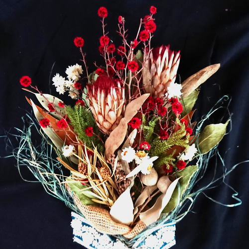 ⑨＊本日価格‼️プロテア　ロビン　5本‼️ ネイティブ スワッグ  花材　人気品種＊ ネイティブフラワー、プロテア・ロビンとスターリンジア、グレヴィレア