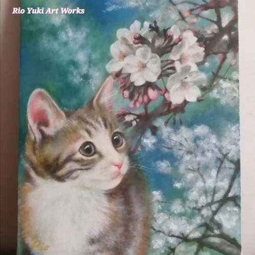 桜と子猫の絵 油絵原画「The arrival of spring」 絵画 Rio Yuki 桜と子猫の絵 油絵原画「The arrival of spring」 絵画 Rio Yuki