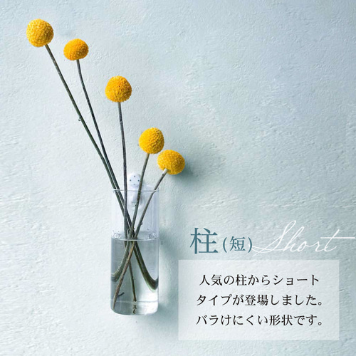 母の日セット2024【倒れない花瓶】壁掛け花瓶の柱2点セット