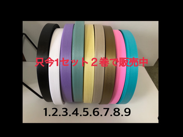 ppバンドベトナム製1セット2巻15ミリ幅で100メートル その他素材 pipi