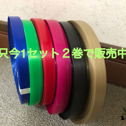 ppバンドベトナム製22ミリ幅50メートル巻き ppバンドベトナム製22ミリ幅【50メートル巻き】 その他素材 pipi