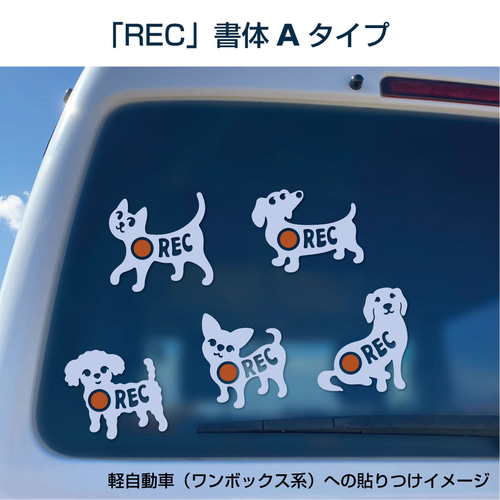 【高知インター店】 929885c024d7da4c7a50c3a6c3efbb テープ・マスキングテープ