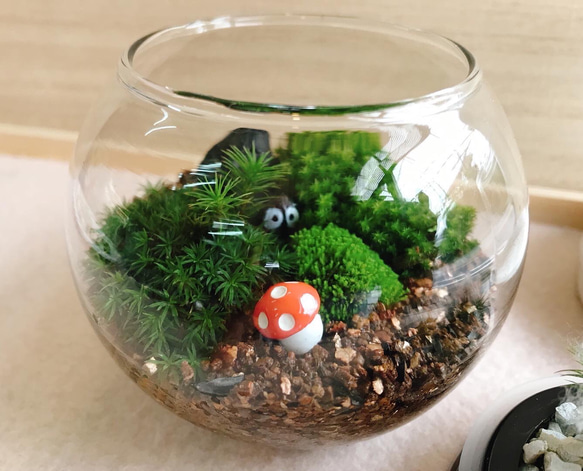 苔テラリウム☆きのこ その他置物 happy stone flower 通販
