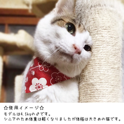 猫&小型犬用バンダナ/梅③ n-0144シリーズ 4枚目の画像