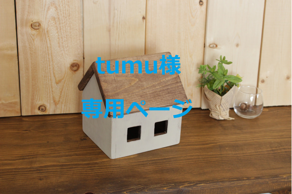 tumu様専用ページ 1枚目の画像