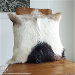 2a1ef86153520208532549d2cf526e