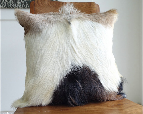 2a1ef86153520208532549d2cf526e